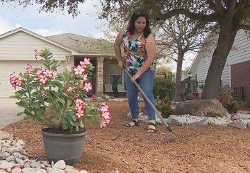 Image for story: Are you considering xeriscaping your yard?