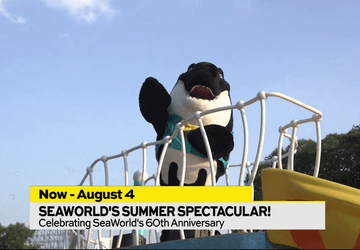 Image for story: SeaWorld&rsquo;s Summer Spectacular