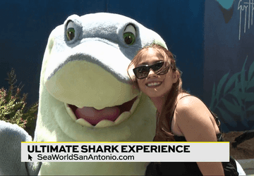 Image for story: Celebrate Shark Week at SeaWorld!