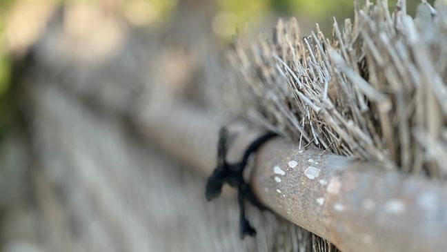 San Antonio's gift from Japan: The tale of the tranquil Kumamoto En garden (SBG/ Emilio Sanchez)