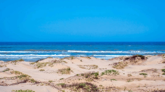 UFO Beach: Seclusion and Soft Sand on South Padre Island. (hotels.com)